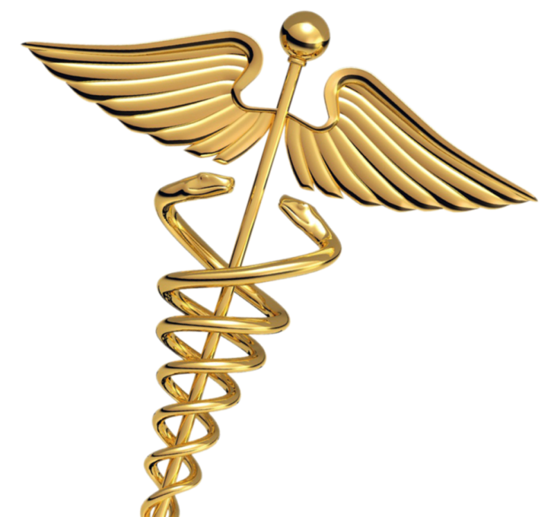 Conheça a Simbologia das Serpentes